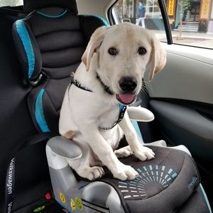 Meet your Posher, Jack